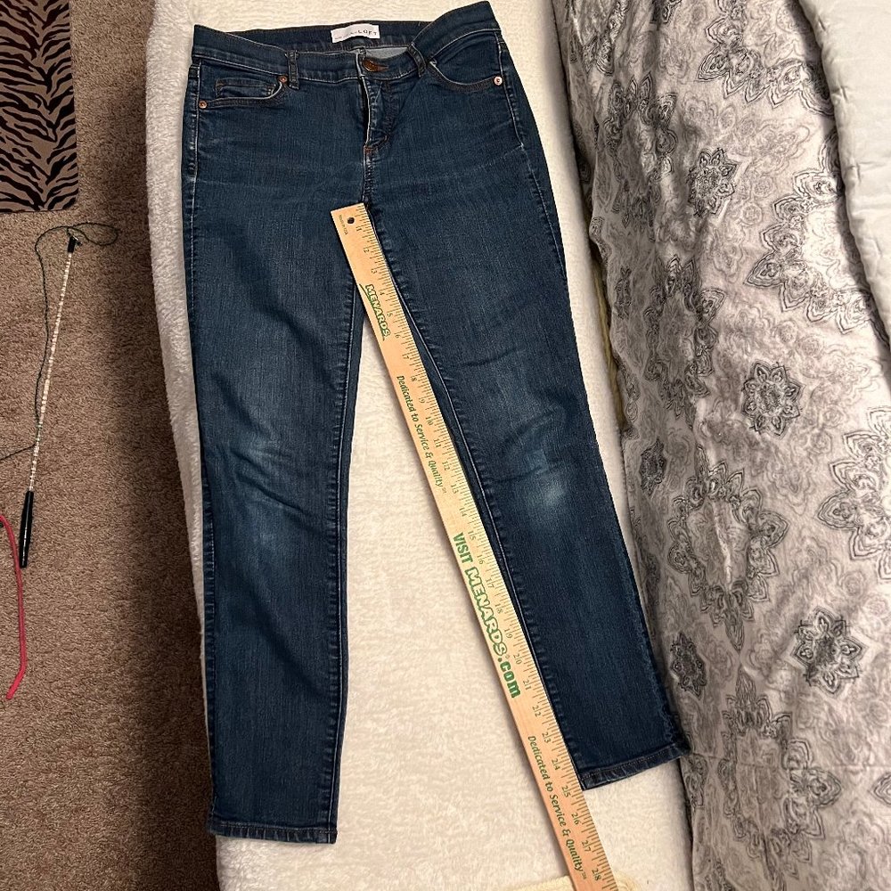 Ann Taylor Loft Jeans- Modern Skinny-Short